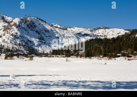 Olympic Valley California Wilderness Adventures Tours de traîneau à chien Banque D'Images