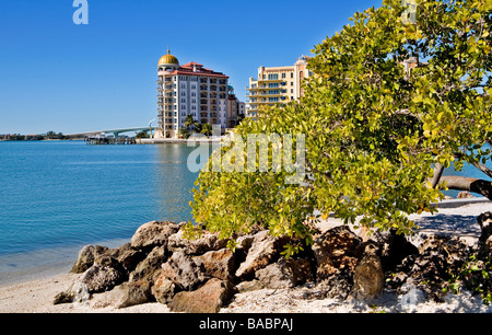 Vue depuis la Floride Sarasota Bayfront Park Banque D'Images