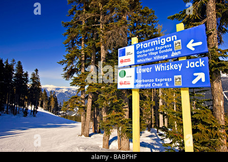 Les indications pour les sentiers de ski sur le mont Whistler,Canada. Banque D'Images