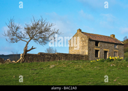 Derelect abandonnés Farm House, trou de Horcum, North Yorkshire, England, UK Banque D'Images