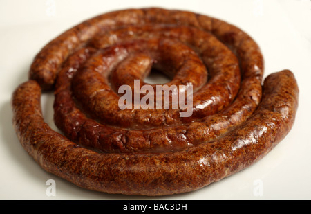 Une saucisse boerewors grillées sur une plaque blanche Banque D'Images