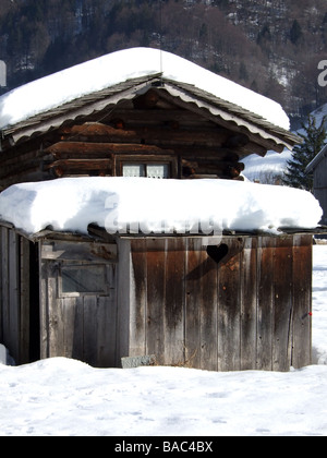 Loo sur un chemin de randonnée d'hiver dans la forêt de Bregenz Banque D'Images