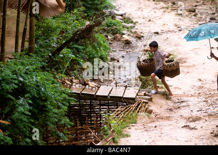 Vietnam, province de Hoa Binh, Ban Ko village de Muong ethnique Tay garçon blanc portant une palanche Banque D'Images