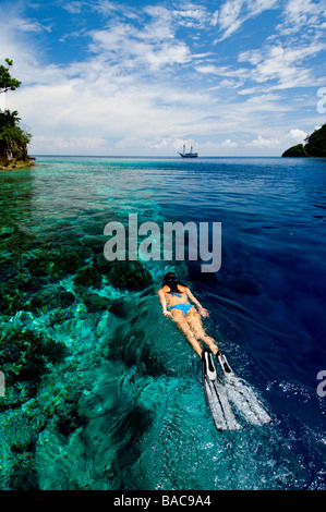 Plongée avec tuba dans Raja Empat, Papouasie, Indonésie, femme diver, bikini, l'eau claire, l'eau peu profonde, fotosub, à la grande visibilité, de l'océan Banque D'Images