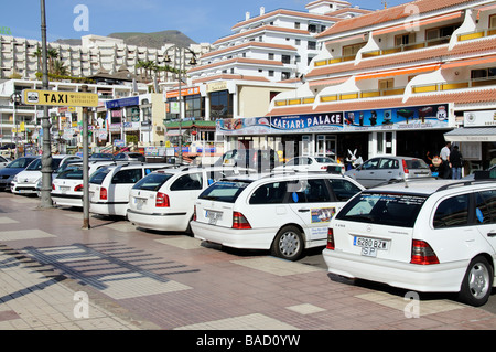 Taxis taxis blancs en attente sur le bord du chemin pour un tarif Banque D'Images