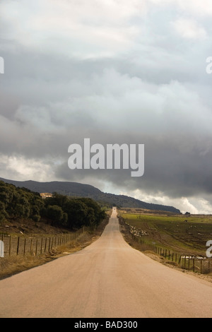 Longue route droite disparaissant dans la distance sous ciel d'orage dans la région d'Axarquia de l'Espagne Banque D'Images