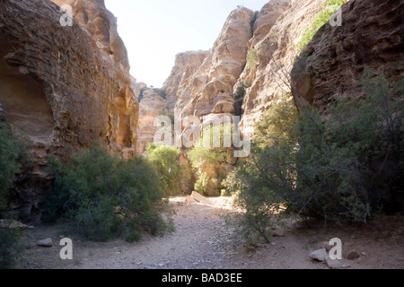 Sentier de montagne au-dessus du désert, Beida (10 km au nord de Pétra) Réserve archéologique en Jordanie Banque D'Images