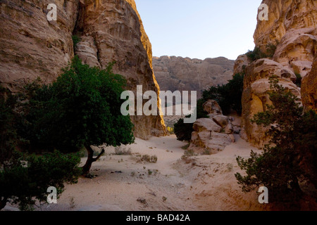 Sentier de montagne au-dessus du désert, Beida (10 km au nord de Pétra) Réserve archéologique en Jordanie Banque D'Images