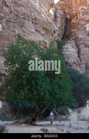 Sentier de montagne au-dessus du désert, Beida (10 km au nord de Pétra) Réserve archéologique en Jordanie Banque D'Images