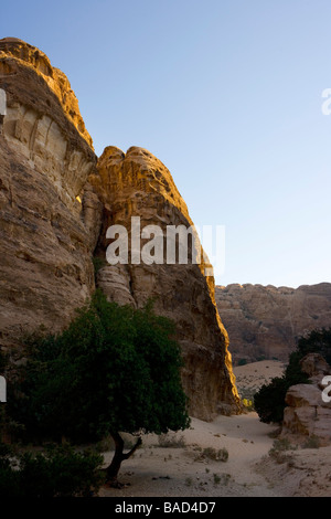 Sentier de montagne au-dessus du désert, Beida (10 km au nord de Pétra) Réserve archéologique en Jordanie Banque D'Images