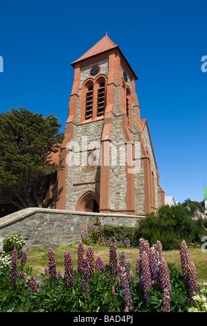 La Cathédrale Christ Church et de lupins. Stanley, îles Falkland. Banque D'Images