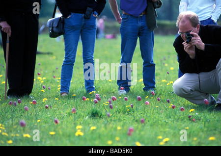 Le festival Ducklington Fritillaries Oxfordshire Banque D'Images