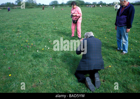 Il Ducklington festival Fritillaries Oxfordshire Banque D'Images