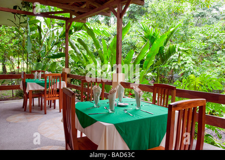 L'intérieur de l'arbre Kapok dans l'est restaurant Costa Rica Amérique Centrale Banque D'Images