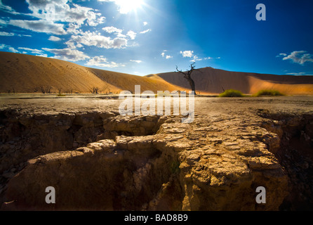 Un paysage d'un seul arbre mort dans le magnifique Dead Vlei désert de Namibie Afrique entouré de dunes de sable allumée à matin. Banque D'Images