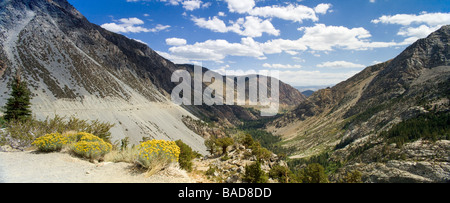 Vue panoramique de Tioga Pass, Yosemite National Park, California, USA Banque D'Images