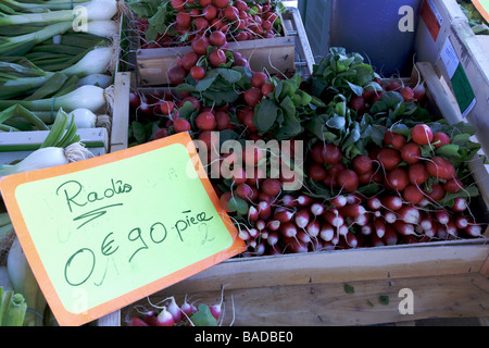 La France. Des produits du marché. 'Radis Raphanus sativus'. Prix billet ; Banque D'Images