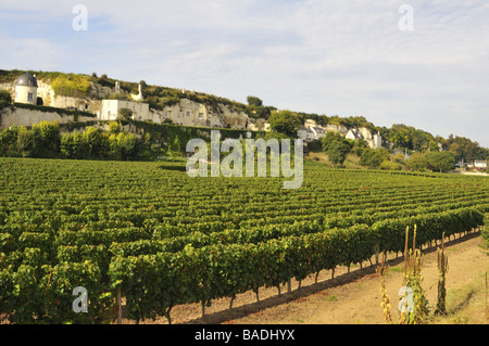 Domaine Filliatreau vignoble dans la vallée de la Loire France Banque D'Images