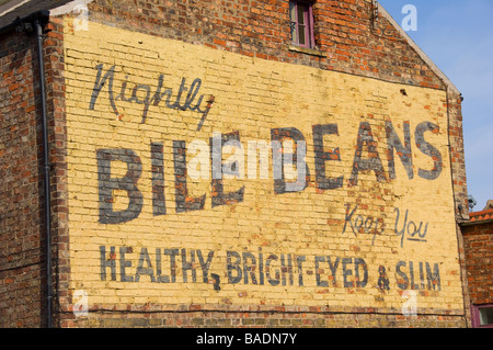 Vieux panneau mural de palissade publicitaire pour Bile beans 1850 peint sur un bâtiment de brique York North Yorkshire Angleterre GB Grande-Bretagne Banque D'Images