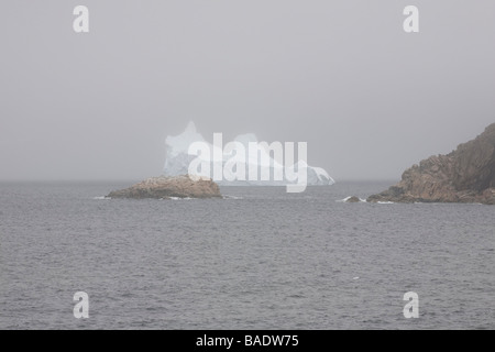 Iceberg près de Twillingate Island, Newfoundland, Canada Banque D'Images