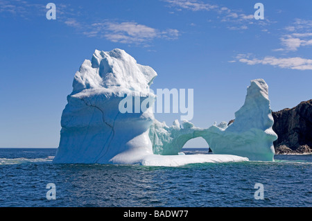 Iceberg près de Twillingate Island, Newfoundland, Canada Banque D'Images