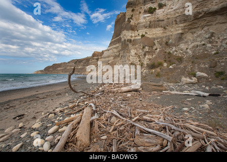 La réserve naturelle de Cape Kidnappers en Nouvelle-Zélande l'Île du Nord Banque D'Images