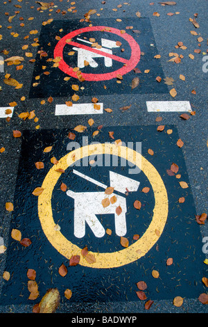 Symboles de chien mouillé sur route pavée à l'automne Banque D'Images