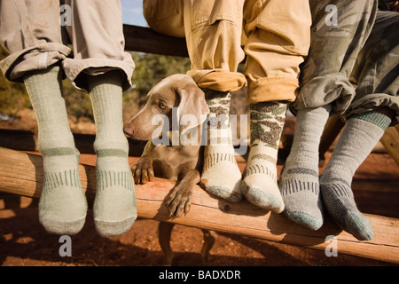 Close-up of men's pieds avec braque de chien, le Jardin des Dieux Park, Colorado Springs, Colorado, États-Unis Banque D'Images