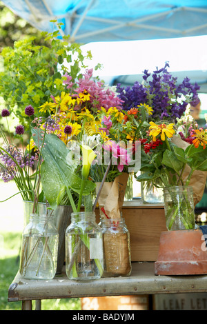 Les fleurs coupées pour la vente au marché de producteurs biologiques Banque D'Images