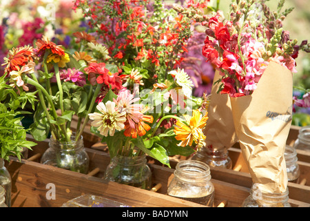 Les fleurs en vente au marché de producteurs biologiques Banque D'Images