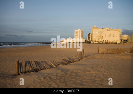 La plage de Brava, Punta del Este, Uruguay Banque D'Images