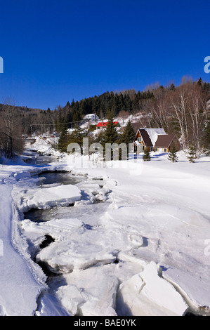 Rivière à travers la forêt, Baie Saint-Paul, Charlevoix, Québec, Canada Banque D'Images