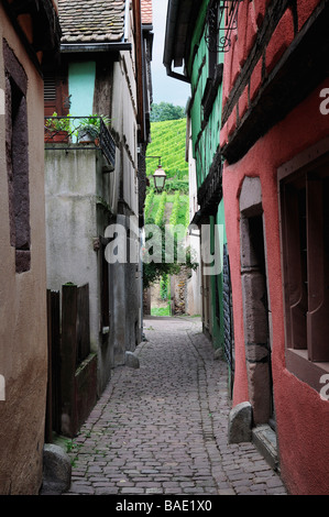 Vieille ville de Riquewihr, Alsace, France Banque D'Images