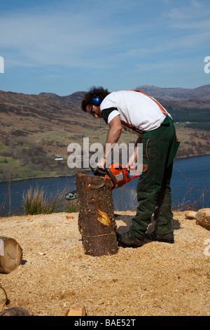 Coupe-bois, Chainsaw sculptant un sport et un passe-temps populaires pour de nombreux utilisateurs de tronçonneuses. Homme utilisant une tronçonneuse Husqvarna sur une colline au-dessus de Loch Broom, Écosse, Royaume-Uni Banque D'Images