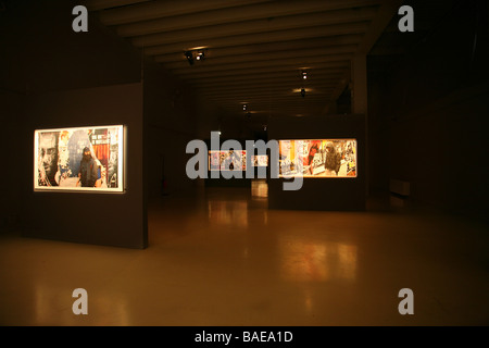 Triennale Design Museum, l'existence contemporaine, Alessandro D'Andrea, Milan, Lombardie, Italie Banque D'Images