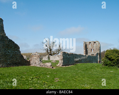 Les ruines de château médiéval Baconsthorpe North Norfolk Banque D'Images