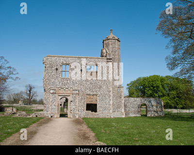 Les ruines de château médiéval Baconsthorpe North Norfolk Banque D'Images