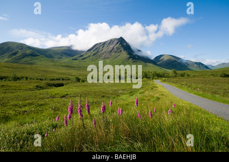 La gamme de SRON na Creise et de Blackmount s'étend de Glen Etive Road, Rannoch Moor, Highland Region, Écosse, Royaume-Uni Banque D'Images