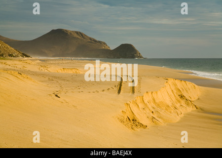 Todos Santos AU MEXIQUE Playa La Cachora sur la plage de sable de l'océan Pacifique s'étendent sur des kilomètres de distance dans la formation rocheuse Banque D'Images