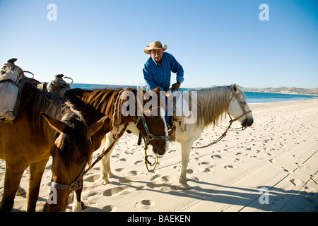 Mexique San Jose del Cabo Mexican homme à cheval wearing cowboy hat et la tenue de rênes aux chevaux on beach Banque D'Images