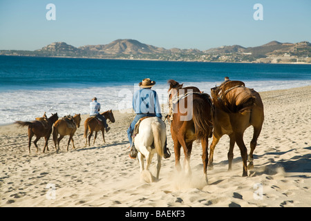 Mexique San Jose del Cabo mexicains sur l'wearing cowboy hat et la tenue de rênes aux chevaux balade plage près de como Banque D'Images
