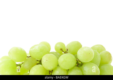 Bouquet de raisin vert sur fond blanc avec copie espace Banque D'Images