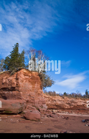 Marée basse à Burncoat Head se - Baie de Fundy, bassin Minas, Burncoat Head, Nova Scotia, Canada Banque D'Images