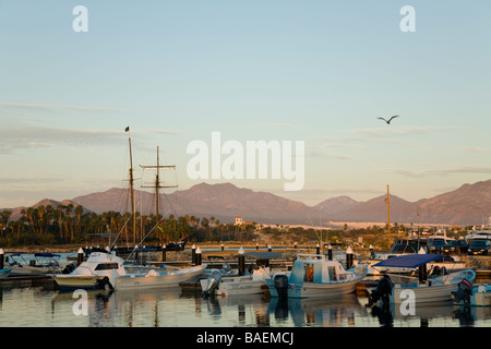 Mexique La Playita Pangas et bateaux de pêche dans le port de plaisance dans les montagnes tôt le matin de la Sierra de La Laguna Banque D'Images