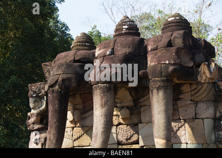 Dirigé trois fleurs de lotus de collecte de l'éléphant avec leurs malles Terrasse des éléphants Angkor Thom Siem Reap Cambodge Banque D'Images