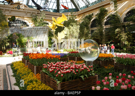 Le conservatoire et jardins botaniques dans le Bellagio Hotel and Casino Las Vegas Boulevard las vegas nevada usa Banque D'Images