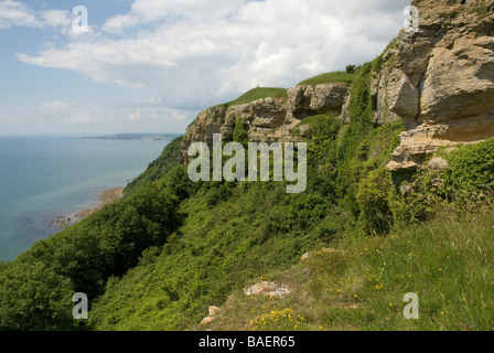 La côte sud du Devon, à l'ouest le long de la falaise ouest près de Branscombe Banque D'Images