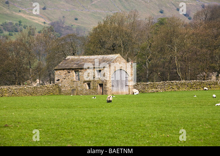 Champs Swaledale Grange et murs en pierre sèche près de Muker Angleterre Yorkshire Dales Banque D'Images