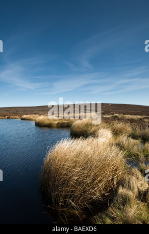 Brians Étang sur Carlton Banque sur le North York Moors Yorkshire Angleterre Banque D'Images