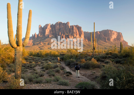 Randonneur sur sentier jusqu'à la Superstition Mountains - Lost Dutchman State Park - Apache Junction, Arizona Banque D'Images